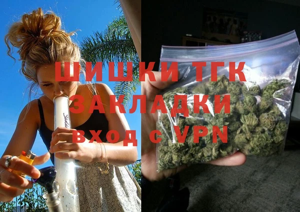 молекула духа Ельня